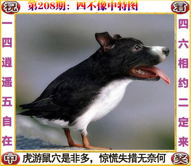 更新中...