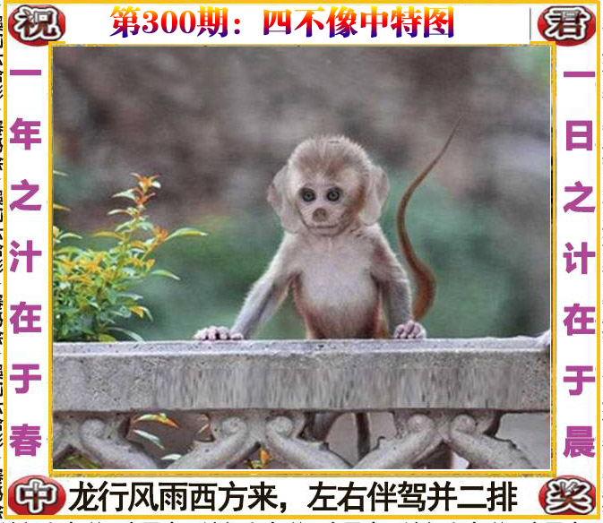 更新中...